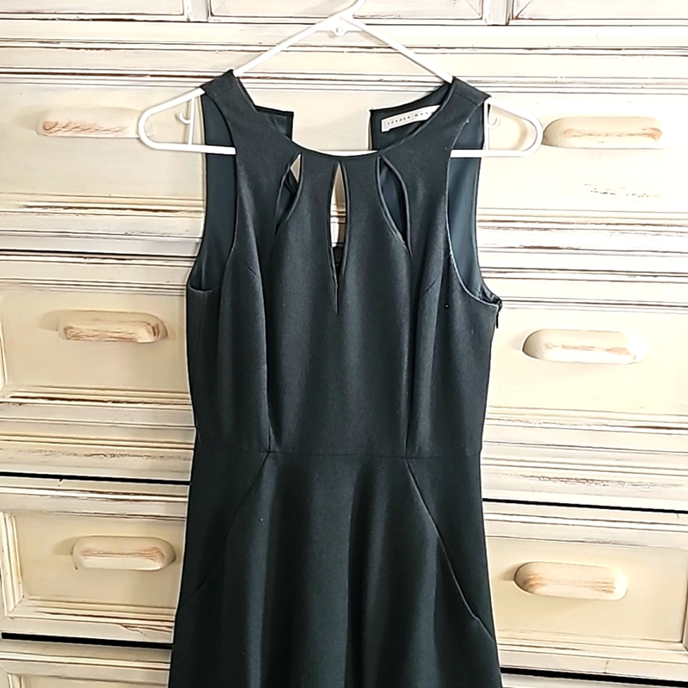 Susana Monaco dress